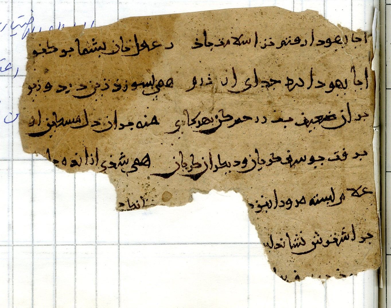 Afghanistan National Archives: Firuzkuh 81: Folio (verso)