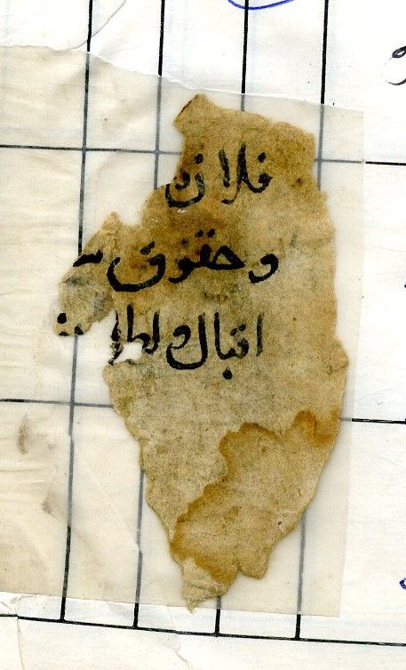 New Persian: Afghanistan National Archives, Firuzkuh 99: Folio (recto)