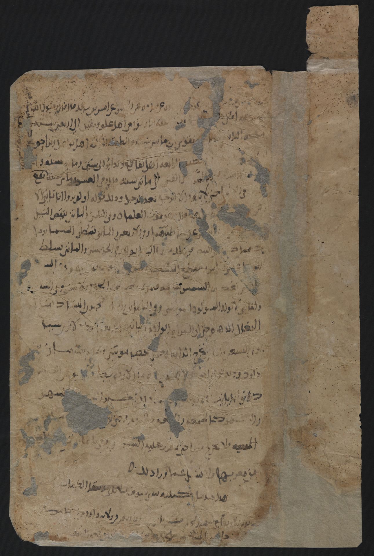 National Library of Israel: Ms.Heb.8333.185: Folio (recto)