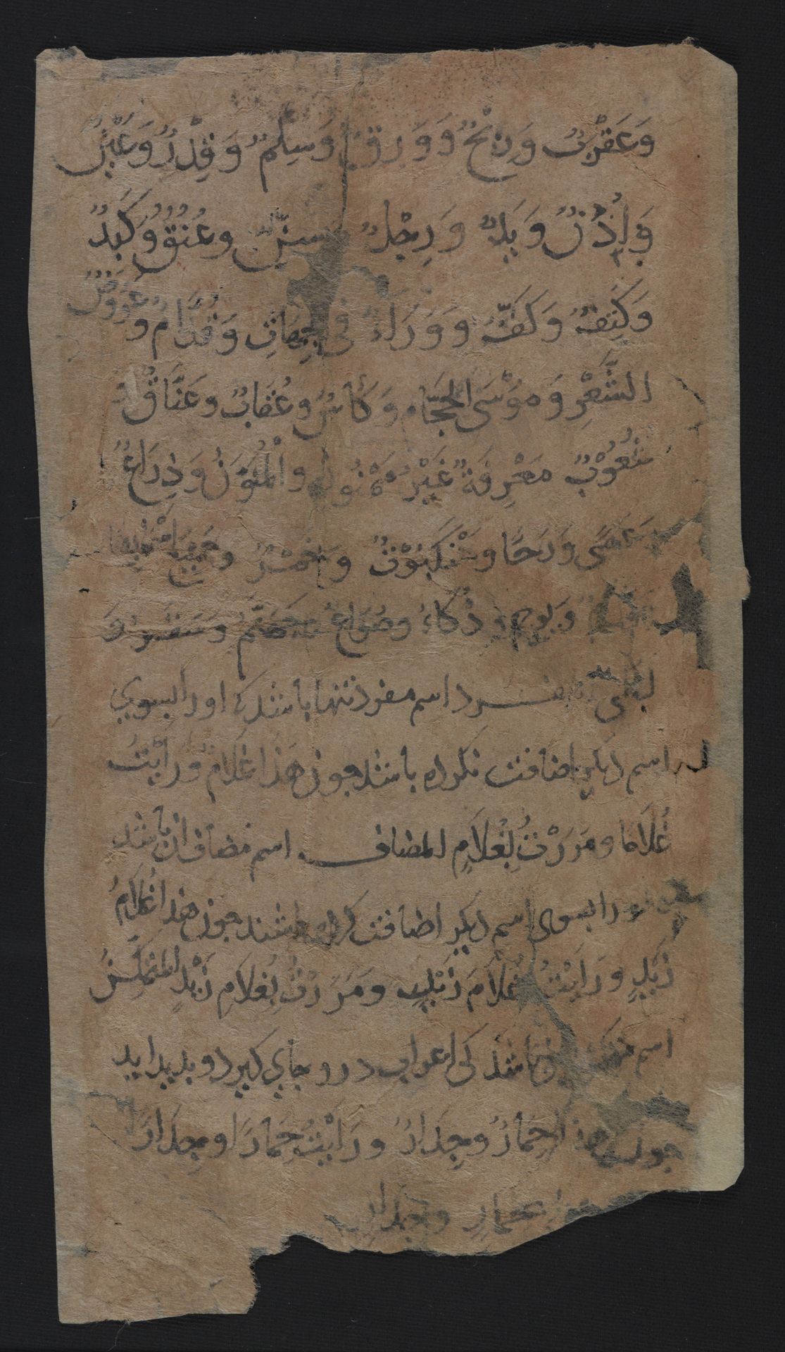National Library of Israel: Ms.Heb.8333.187: Folio (recto)