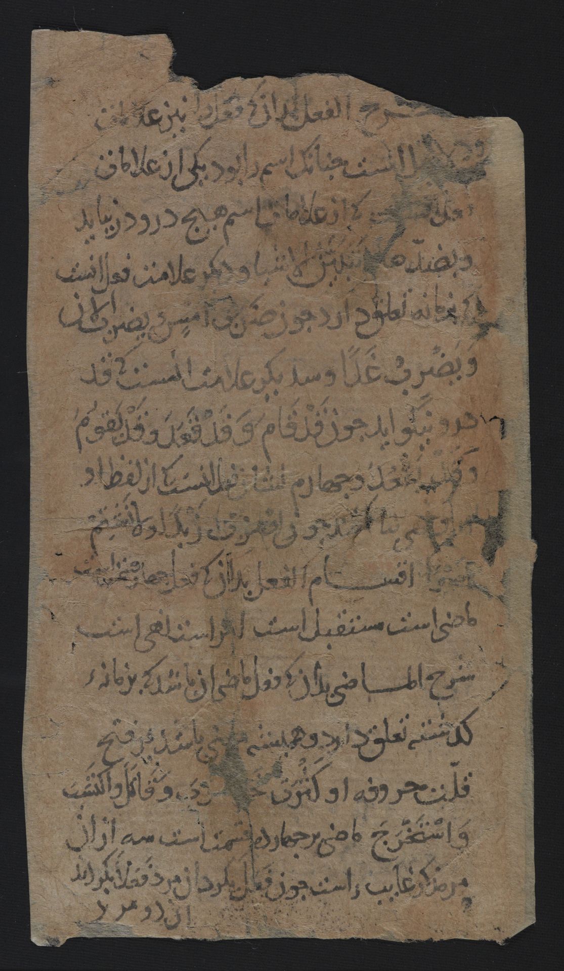 National Library of Israel: Ms.Heb.8333.187: Folio (verso)