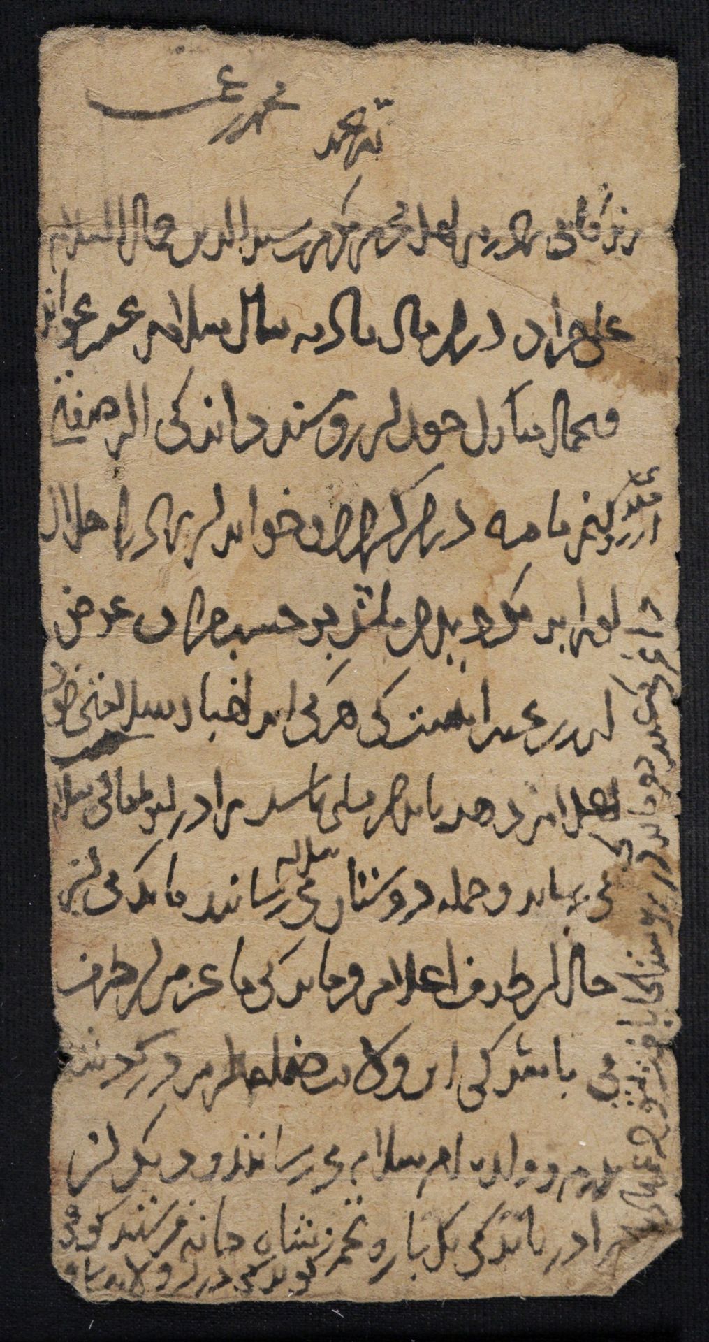 New Persian: National Library of Israel, Ms.Heb.8333.116, verso: Folio (recto)