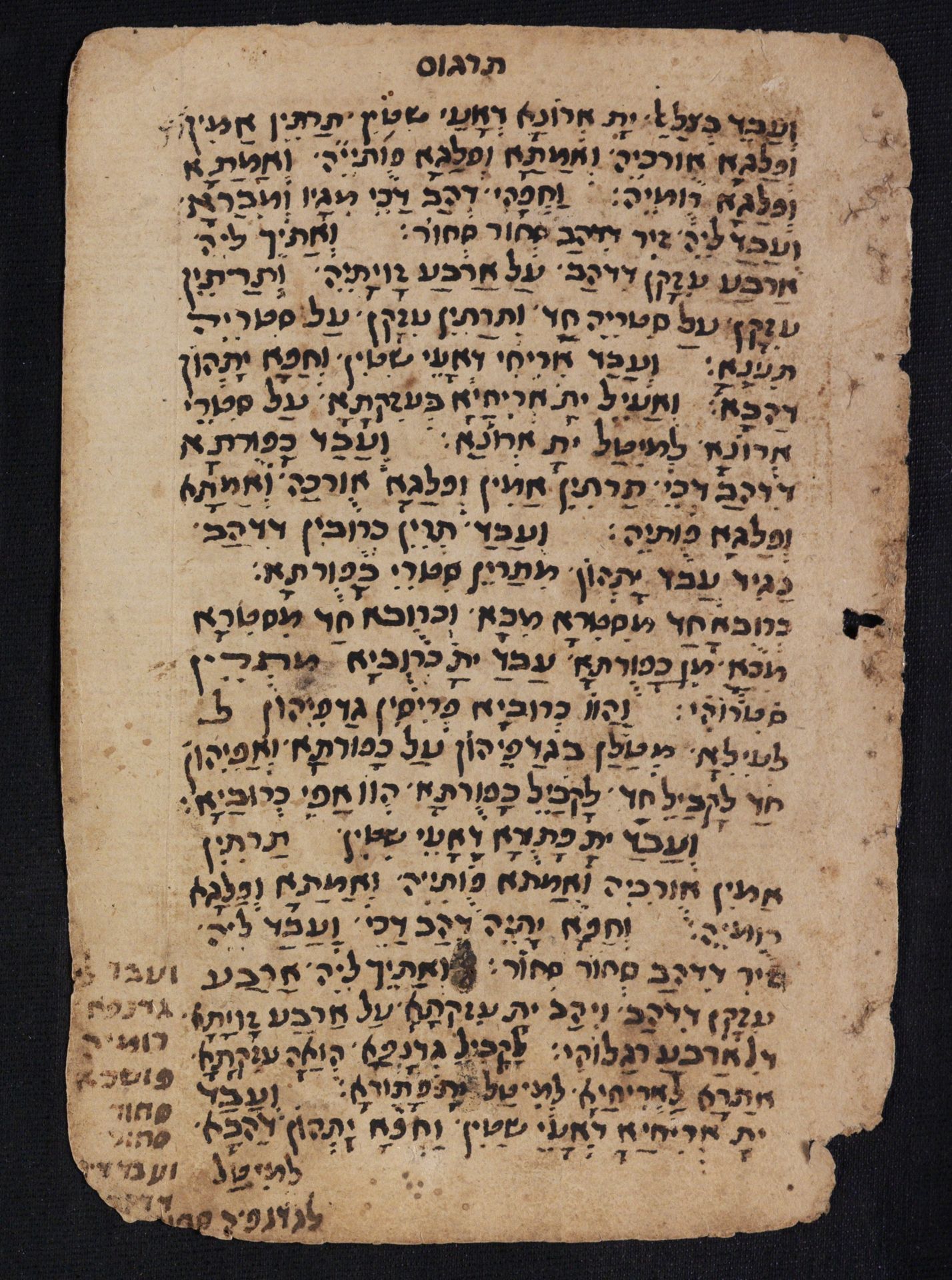 National Library of Israel: Ms.Heb.8333.194: Folio (verso)