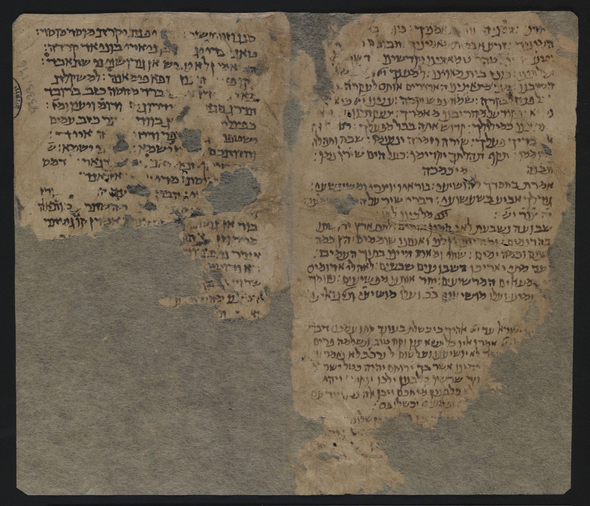 National Library of Israel: Ms.Heb.8333.196: Folio (recto)