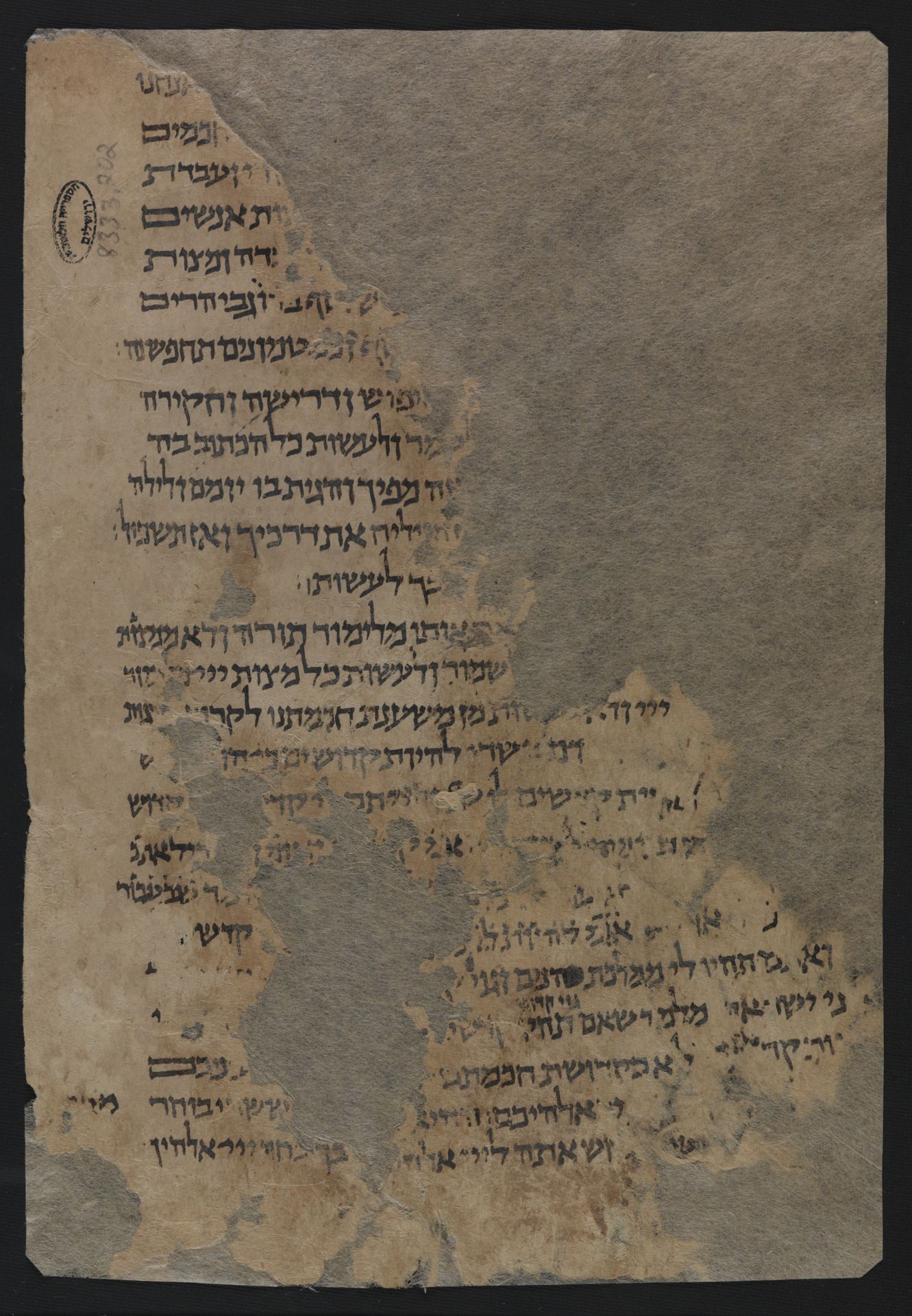 National Library of Israel: Ms.Heb.8333.202: Folio (recto)