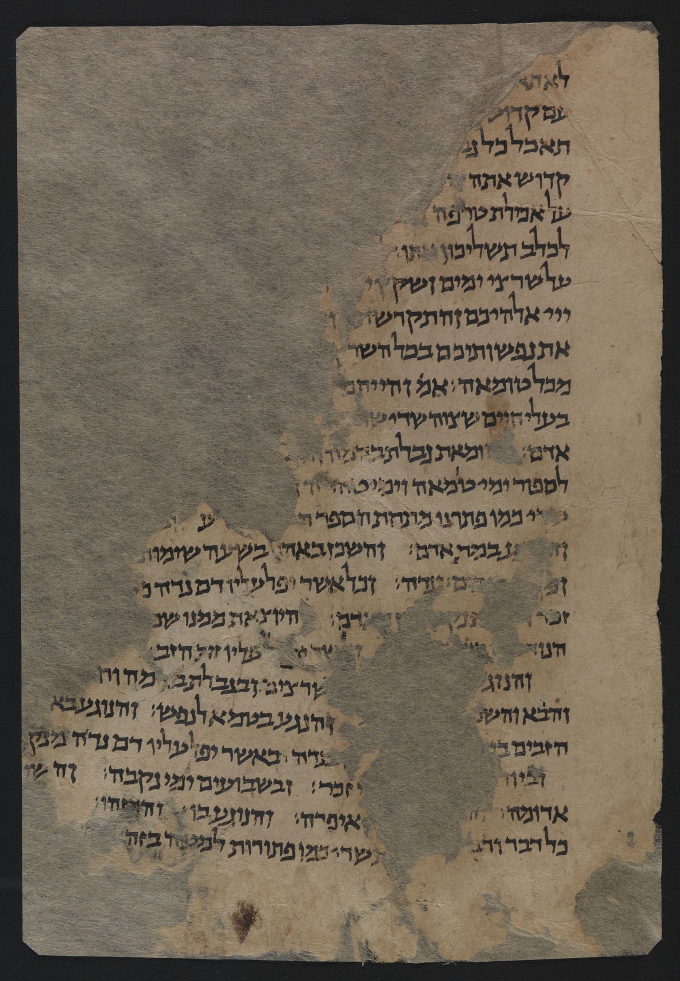 National Library of Israel: Ms.Heb.8333.202: Folio (verso)