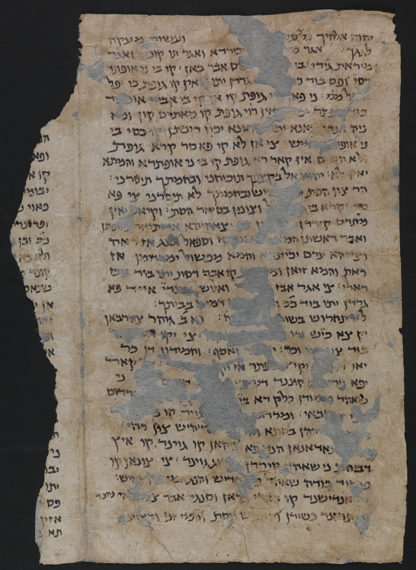 National Library of Israel: Ms.Heb.8333.203: Folio (verso)