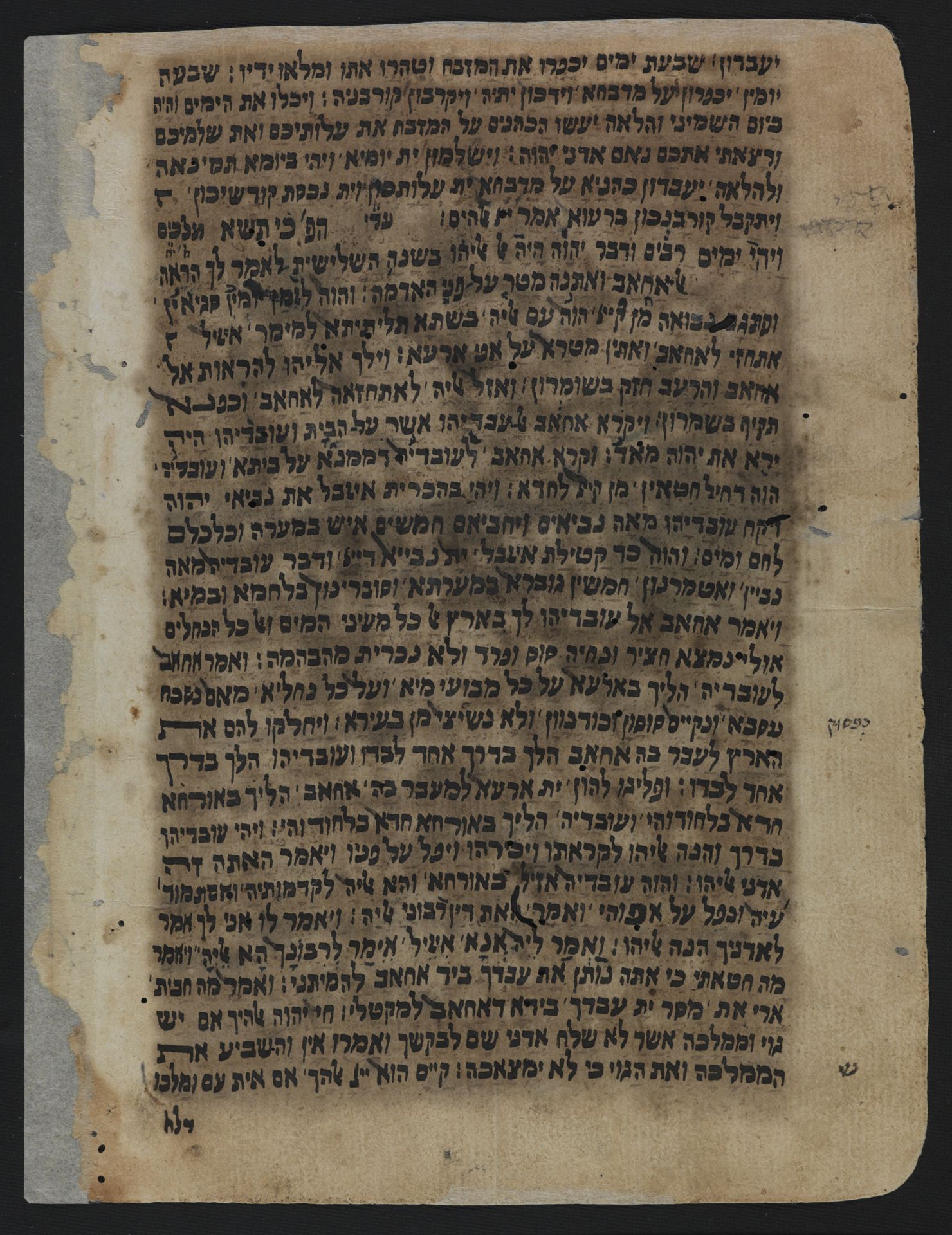 National Library of Israel: Ms.Heb.8333.220: Folio (verso)