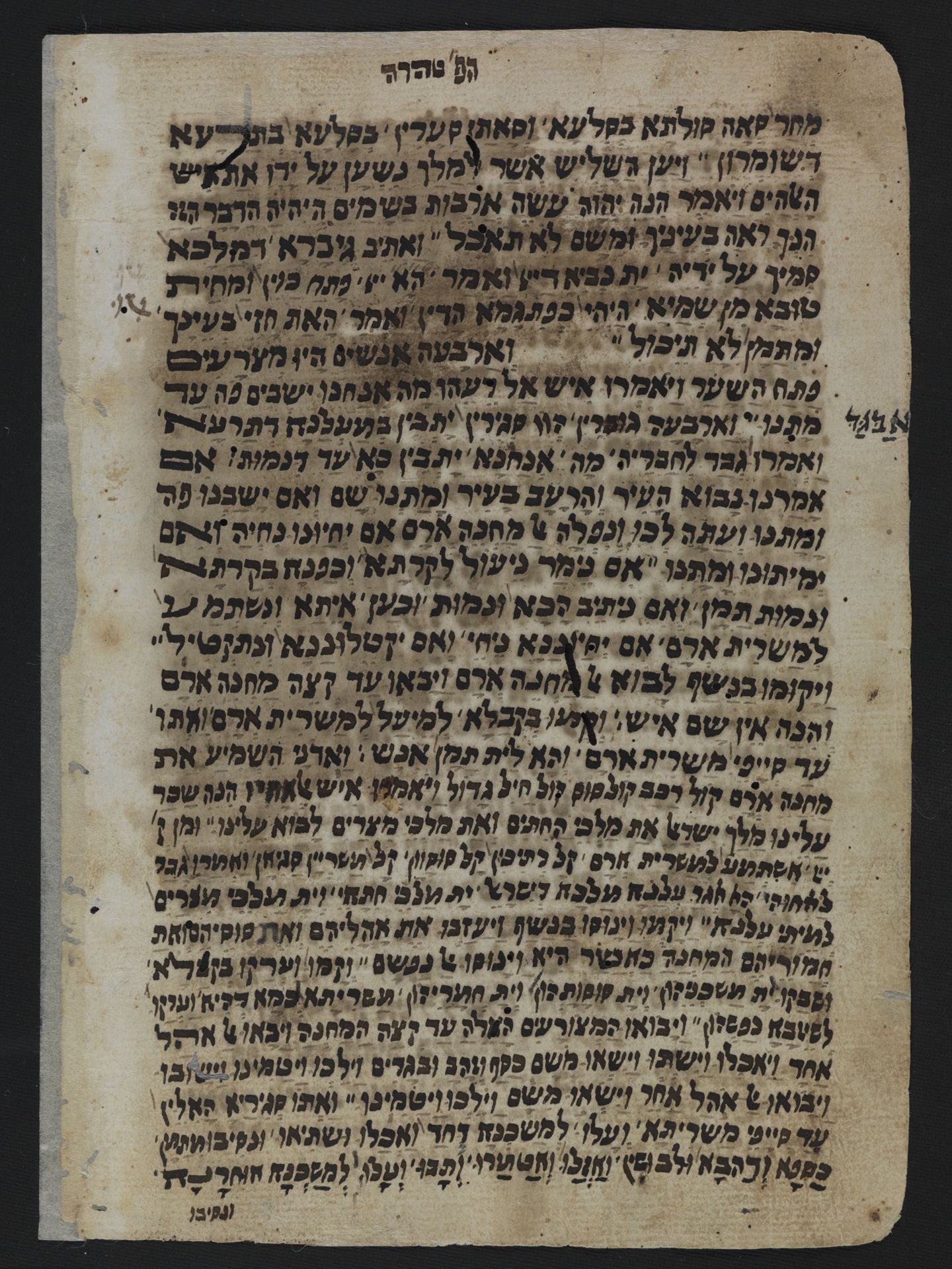 National Library of Israel: Ms.Heb.8333.220: Folio (verso)