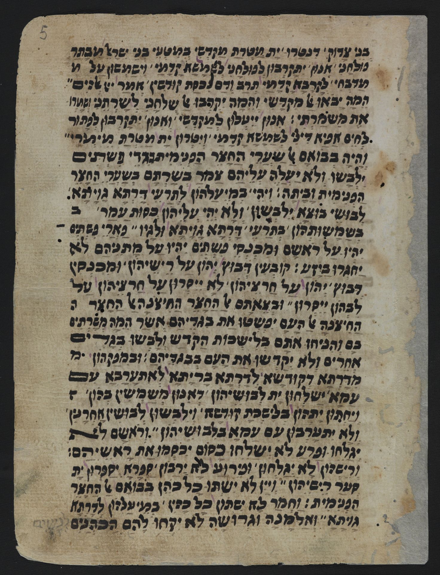 National Library of Israel: Ms.Heb.8333.220: Folio (recto)