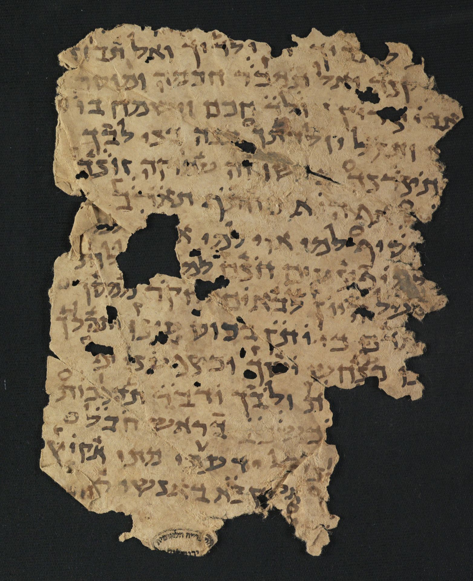 National Library of Israel: Ms.Heb.8333.31: Folio (verso)