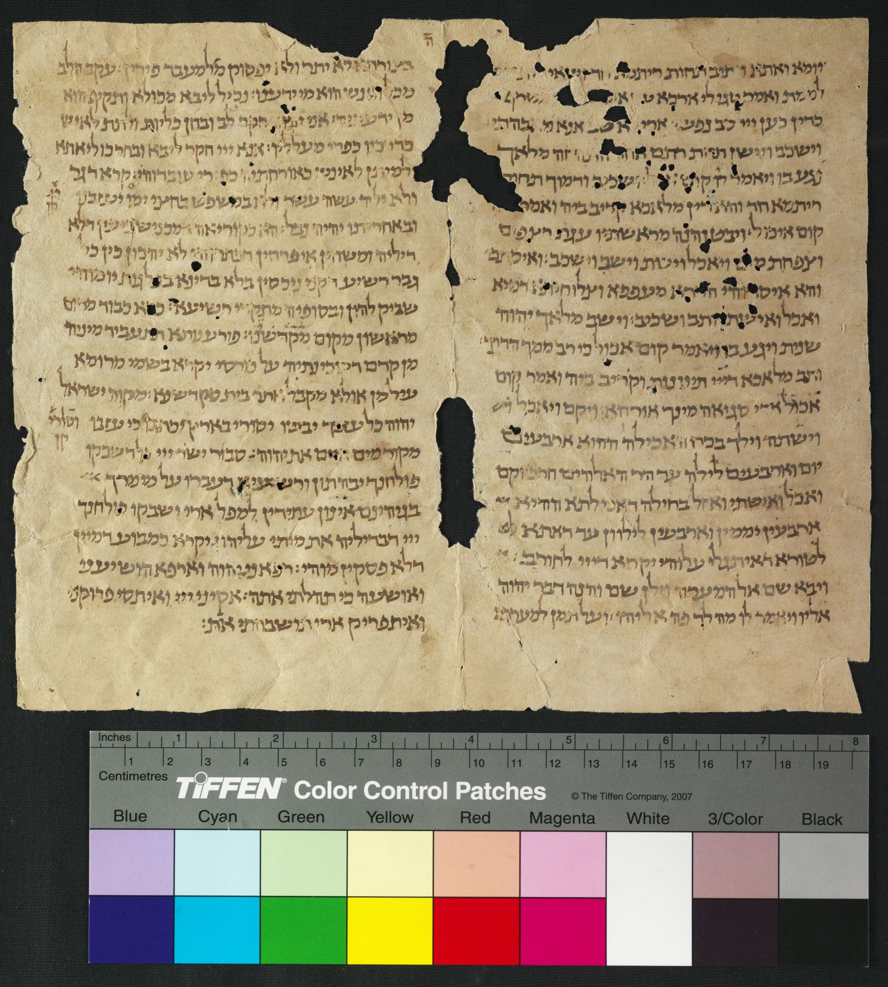 National Library of Israel: Ms.Heb.8333.32: Folio (recto)