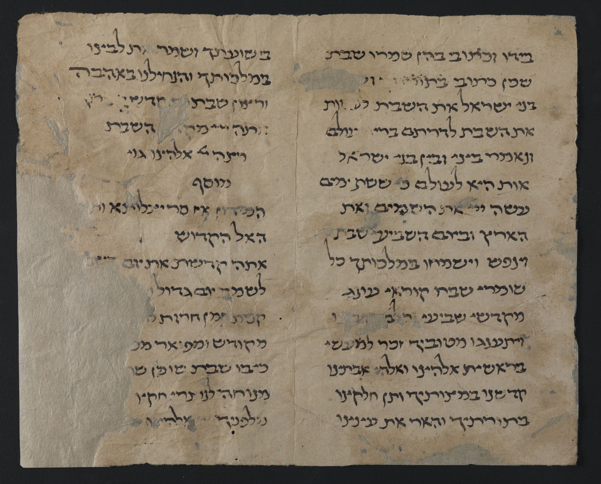 National Library of Israel: Ms.Heb.8333.33: Folio (verso)