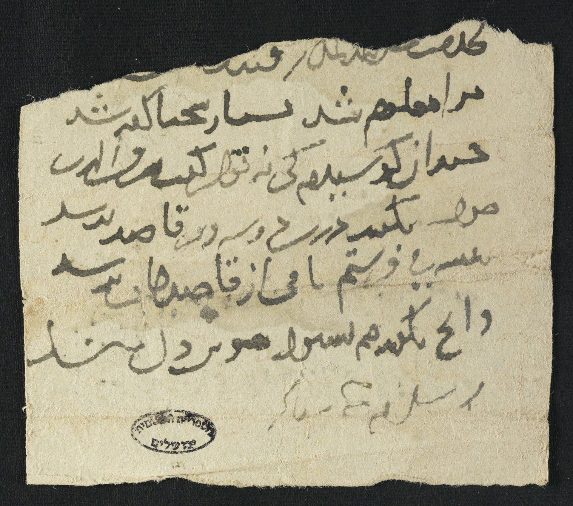 New Persian: National Library of Israel, Ms.Heb.8333.41, recto: Folio (recto)