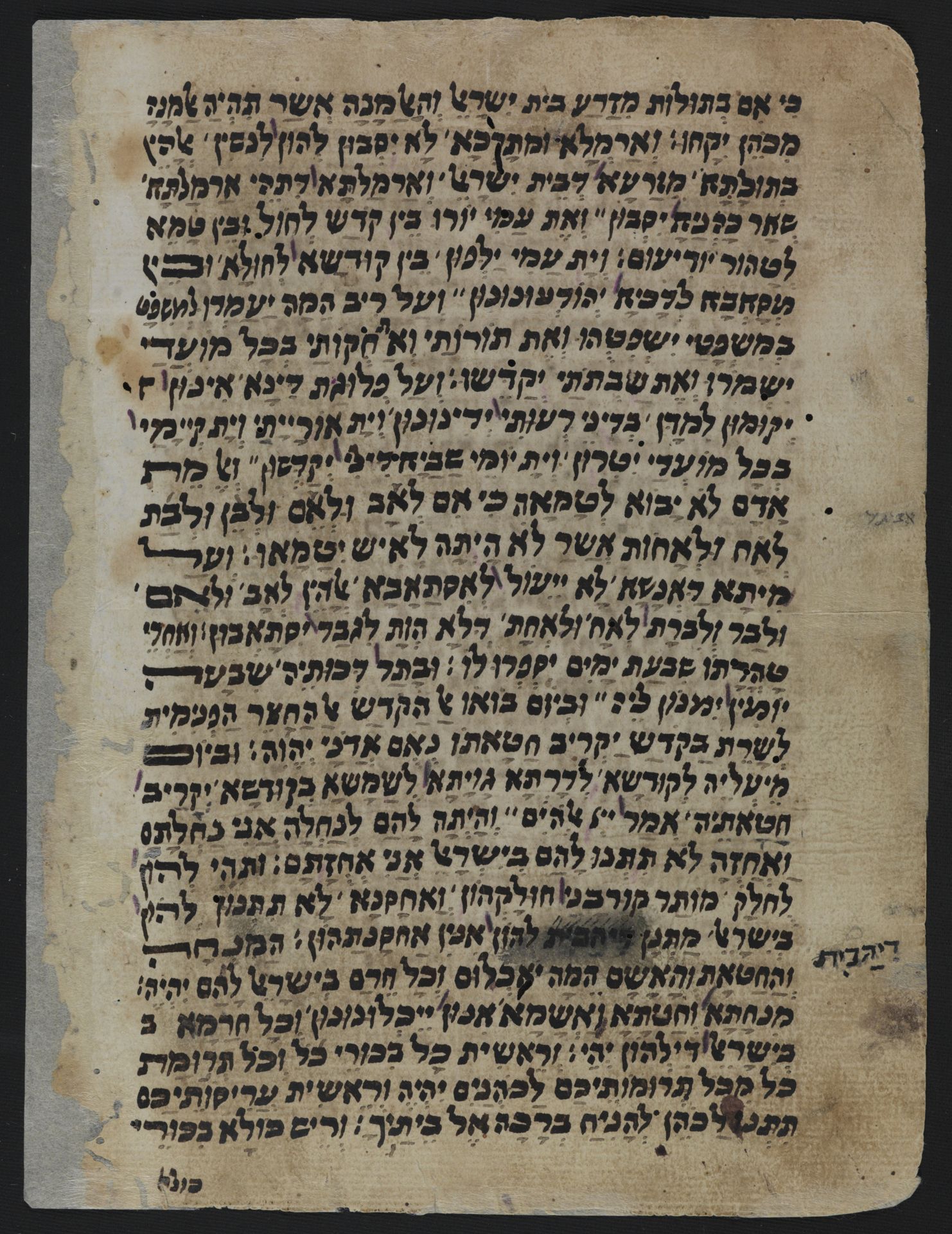 National Library of Israel: Ms.Heb.8333.222: Folio (verso)