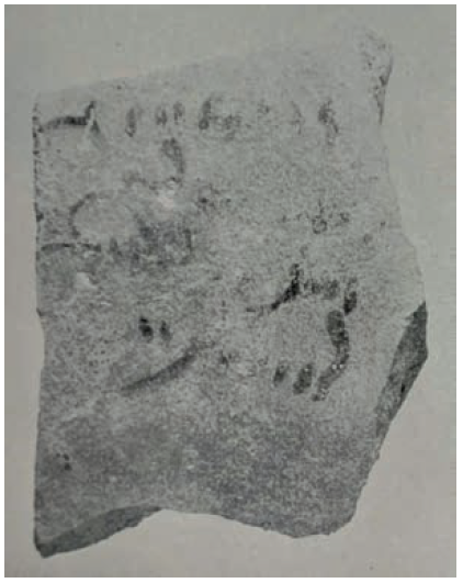 Middle Persian: location unknown, location unknown (field no. CT-133/4): Folio (recto)